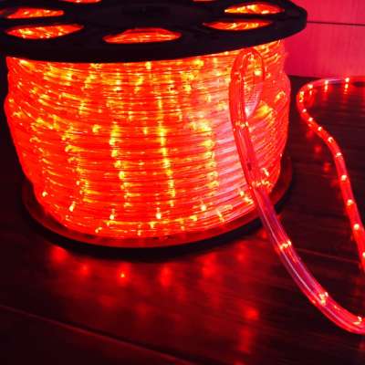 2 wire warm white neon rope light christmas lights 100led